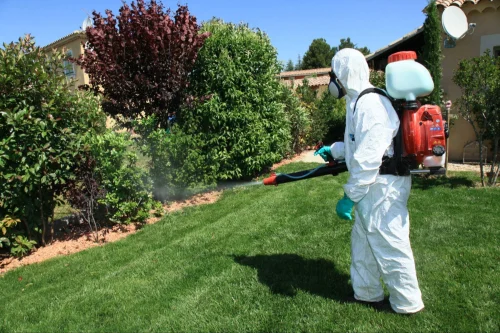 pest control xperts in austin texas